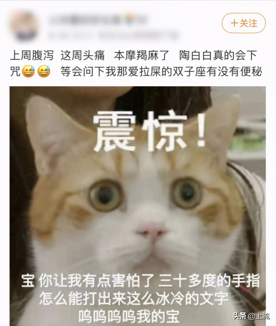 把笔给陶白白，我看我今天能倒什么大霉