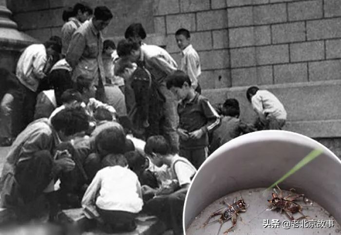 北京这些“老话儿”，外人还真听不懂