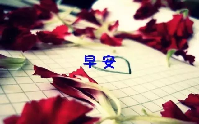 早安心灵鸡汤励志语录 早安励志的说说句子，得福翡翠