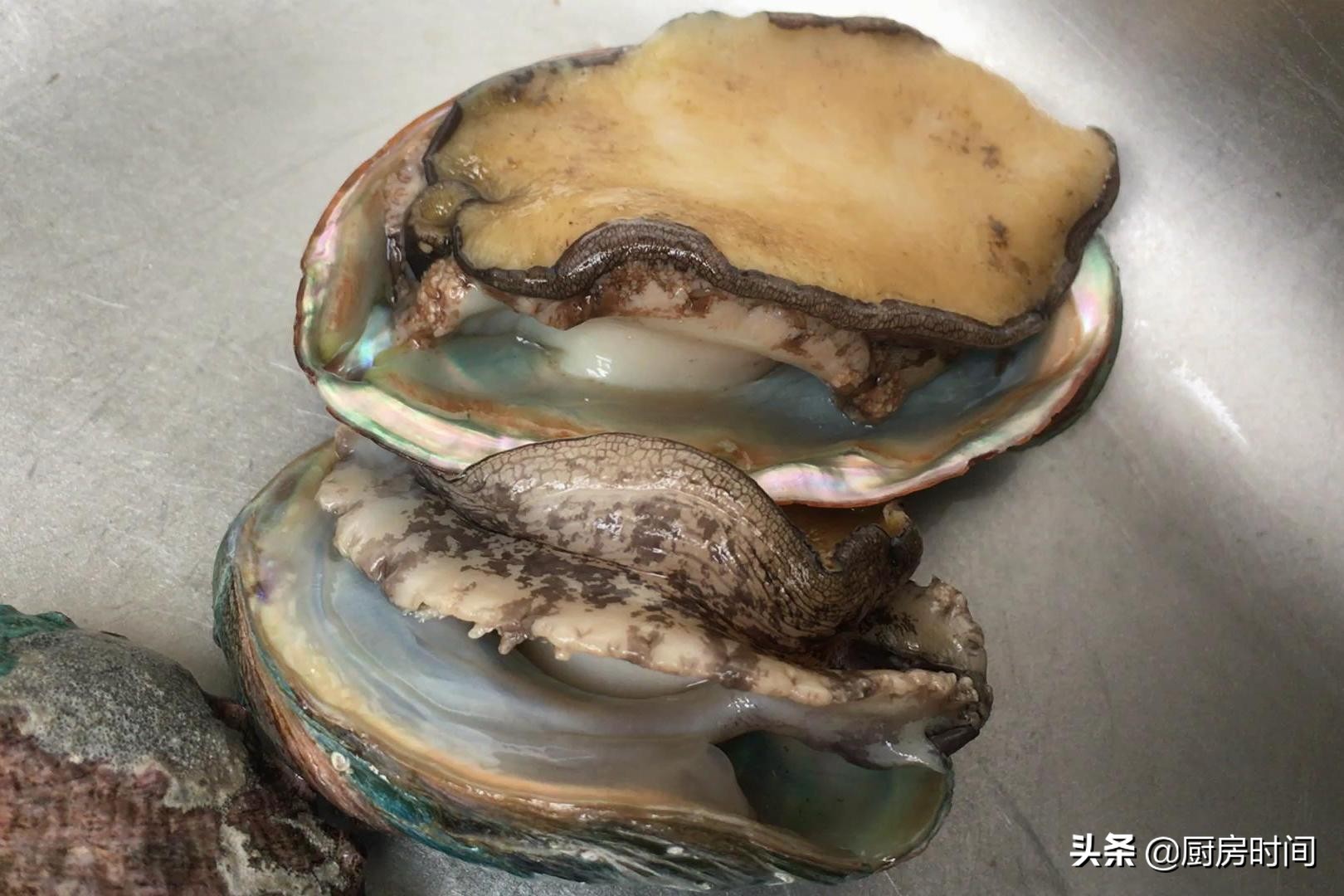 鮑魚怎么做,鮑魚怎么做最簡便最好吃呢