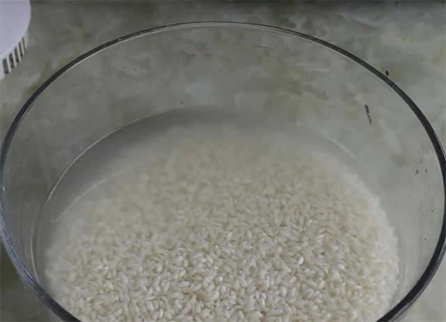 純大米面發糕的做法,純大米面發糕的做法大全