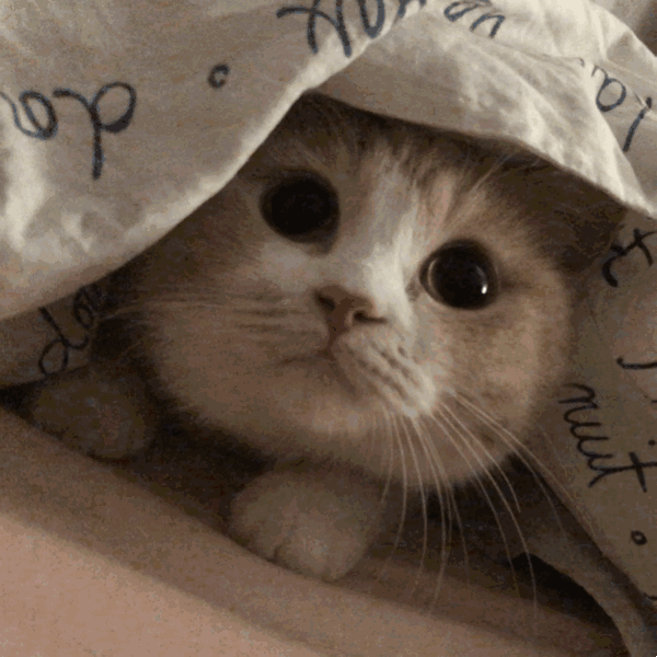 2020版最新法官、检察官表情大全！哈哈哈