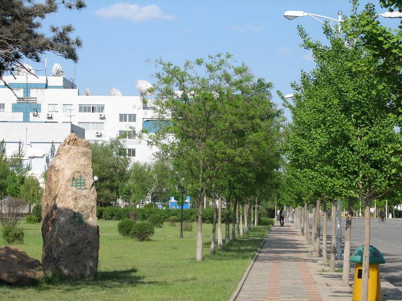 沈阳音乐学院2020年本科招生简章