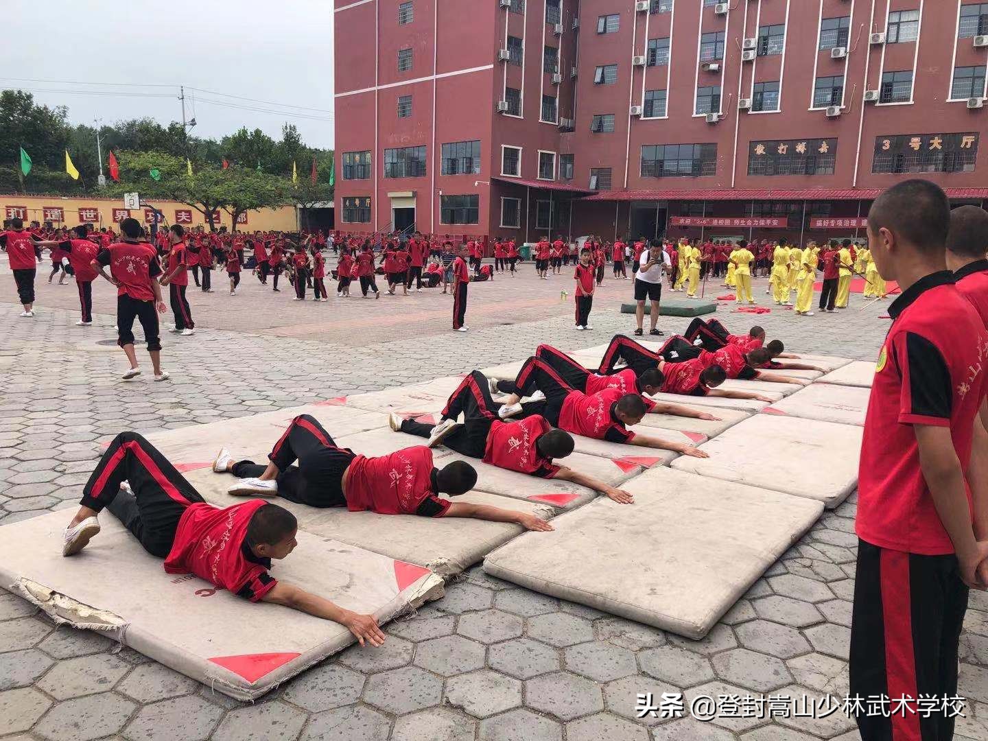 武术学校的课程有哪些？今日为你盘点~记得收藏哦