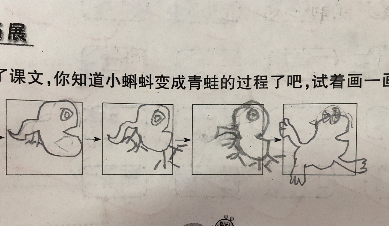 小学生在作业上画“青蛙”，老师看后一脸问号，网友：灵魂画手