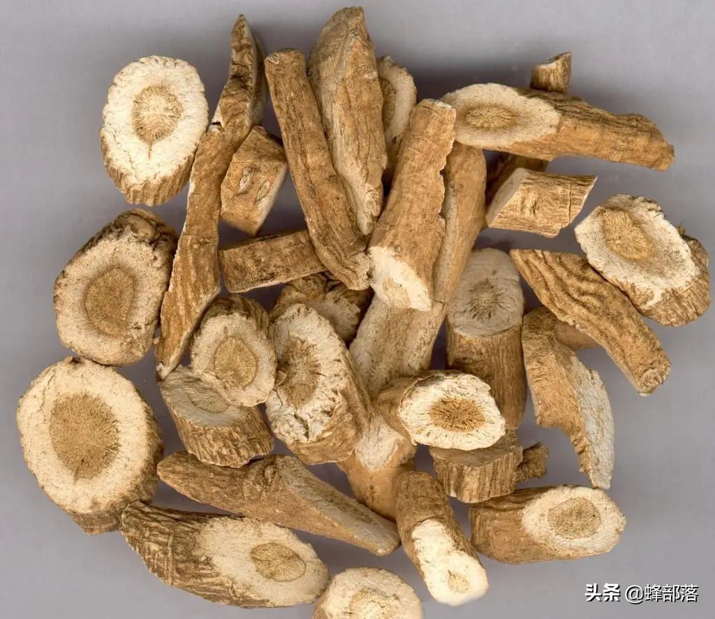 什么藥材好種植,什么藥材好種植又賺錢
