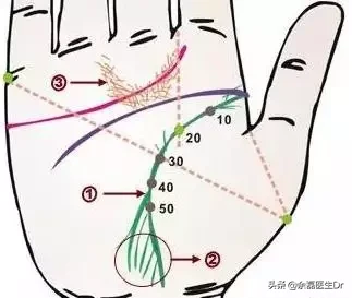 24种手诊图，揭示你的身心健康