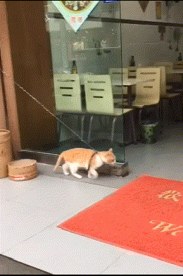 看过大侄子造的句，大嫂浑身来气，我大哥愣是一周没敢回家！哈哈
