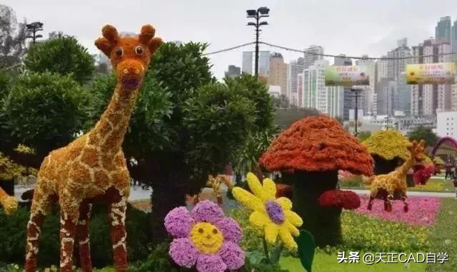 园林景观花坛设计技巧总结,看完涨知识了