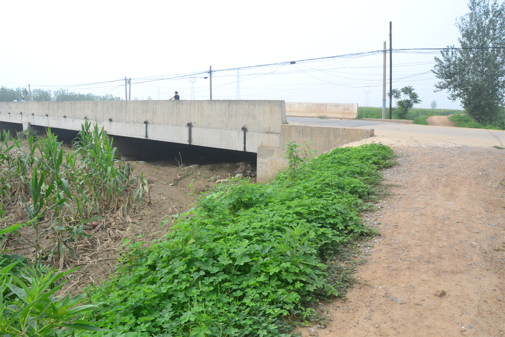 上图:这是鸡泽县2020年挖的一条连接洺河河留垒河的水渠.