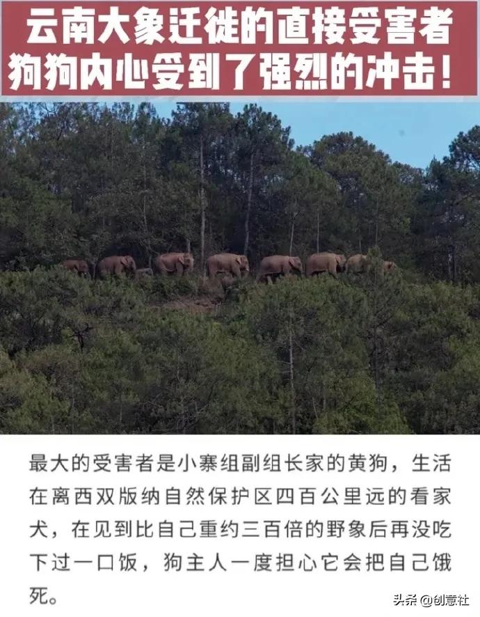 岳云鹏高考祝福翻车，考生：去你的吧哈哈哈哈哈