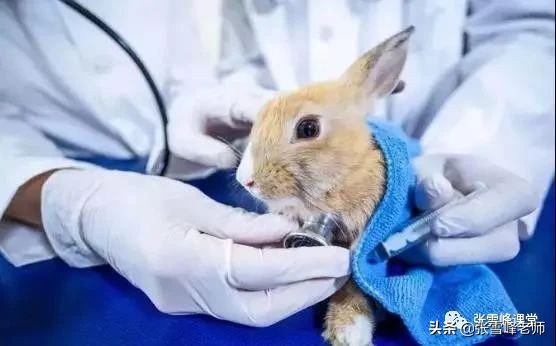 张雪峰解读高考冷门专业：选对了，就业秒变锦鲤，领“鲜”全行业