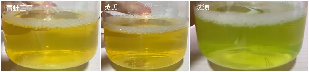 18款洗衣液评测：宝宝专用值得买吗？这几款刺激性和漂洗性不理想