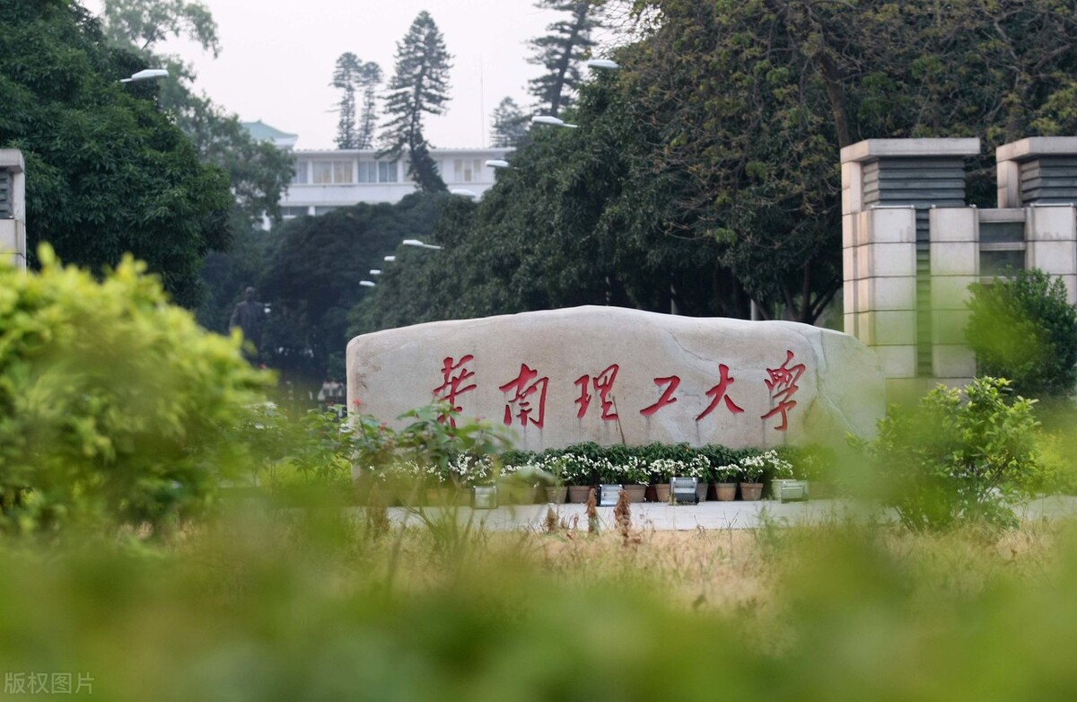 艺术生投档成绩最高的综合性大学有哪些？2021年统考成绩投档分析