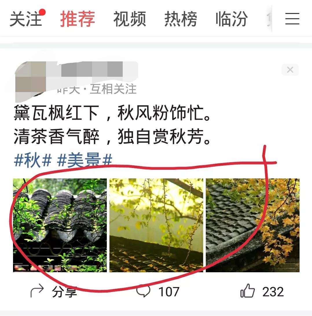 为什么作品的阅读量和评论量那么少？是因为没有掌握好的方法