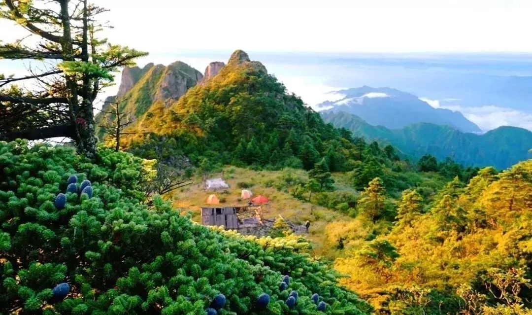 “鸡冠山”熊猫爱的走廊
