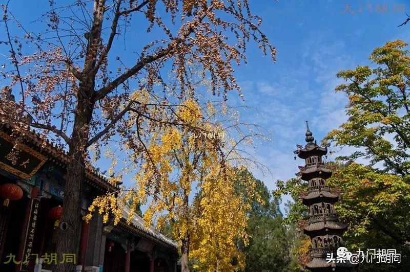 30年后重游云居寺（下）