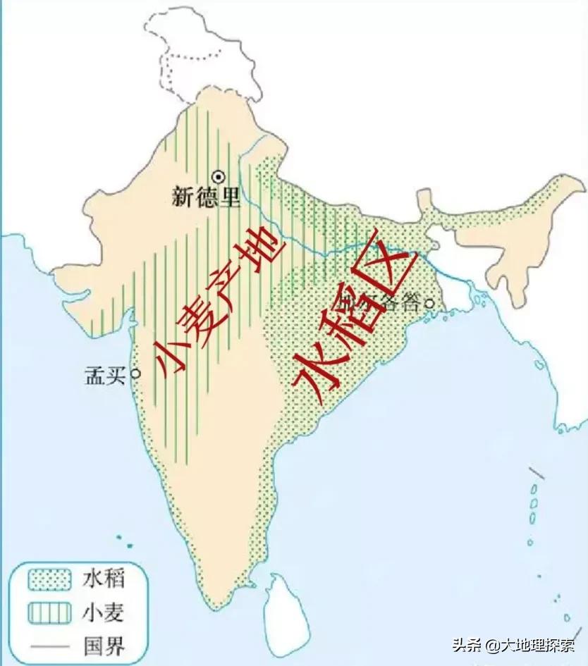 世界十大产粮国排名，印度是十大产粮国唯一没有解决饥饿的国家
