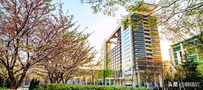 分数线丨中国石油大学2019年在山东、陕西、北京各专业录取分数