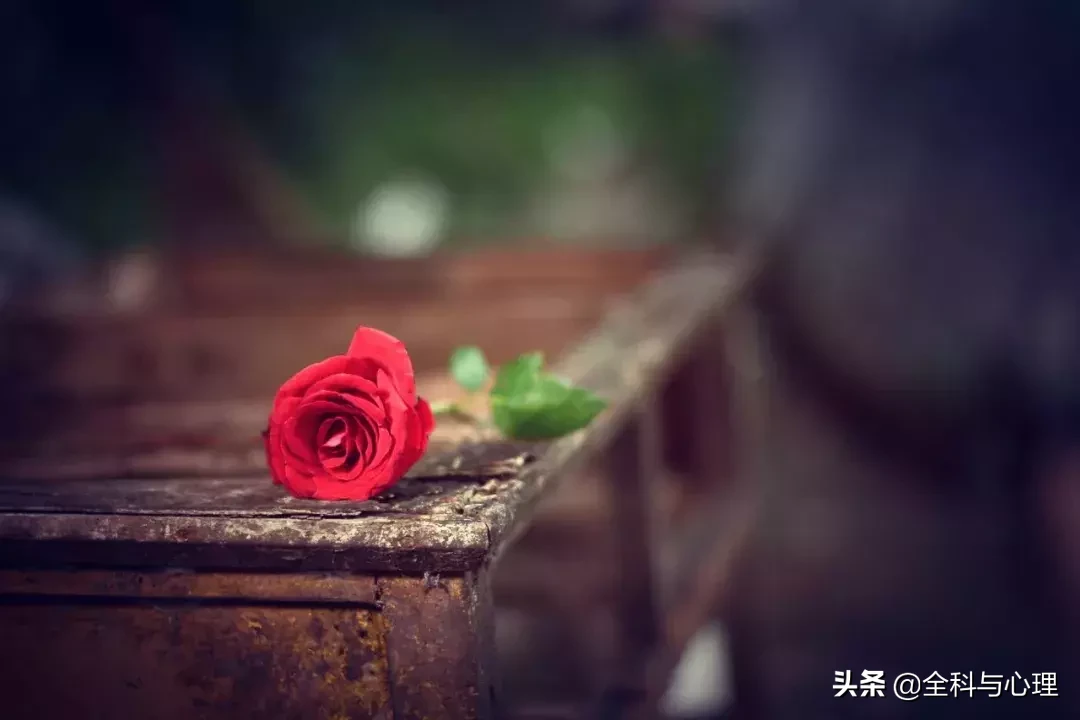 张小娴21句爱情经典:当爱情缺席的时候,学会爱自己