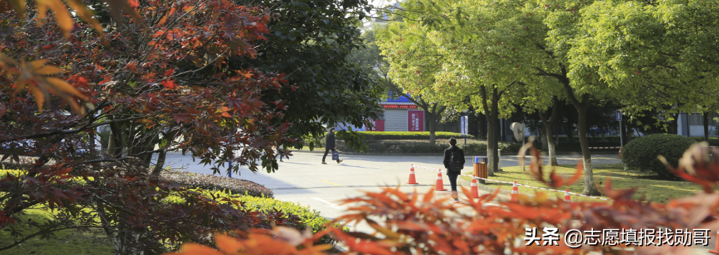 这9所独立医学院校，成绩差想学医的首选，性价比最高