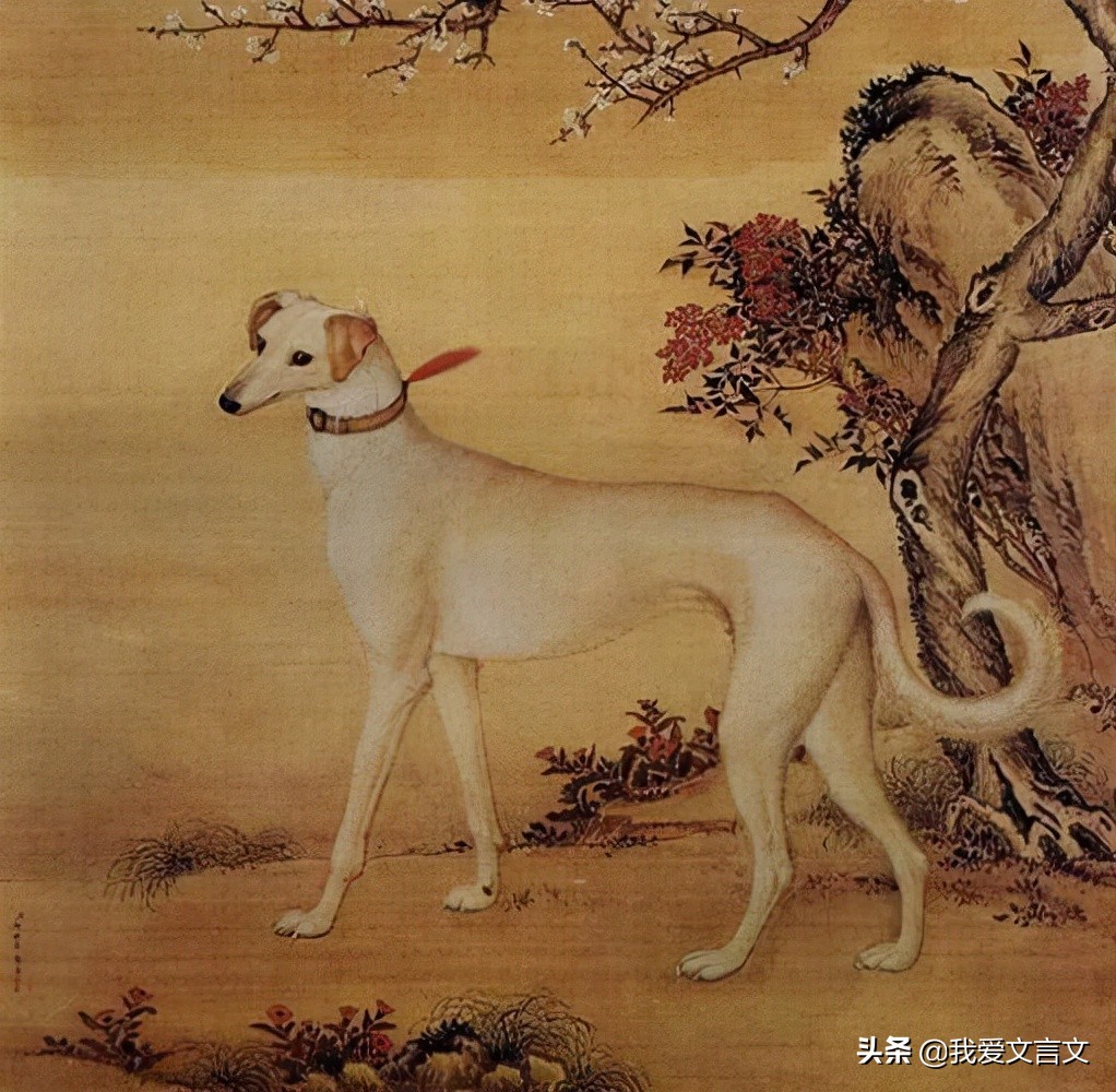 经典文言文赏析 | 智犬破案