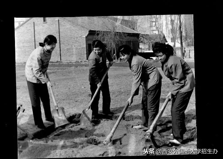 西安外国语大学40年回放，虽然变化很大，但这些始终没变