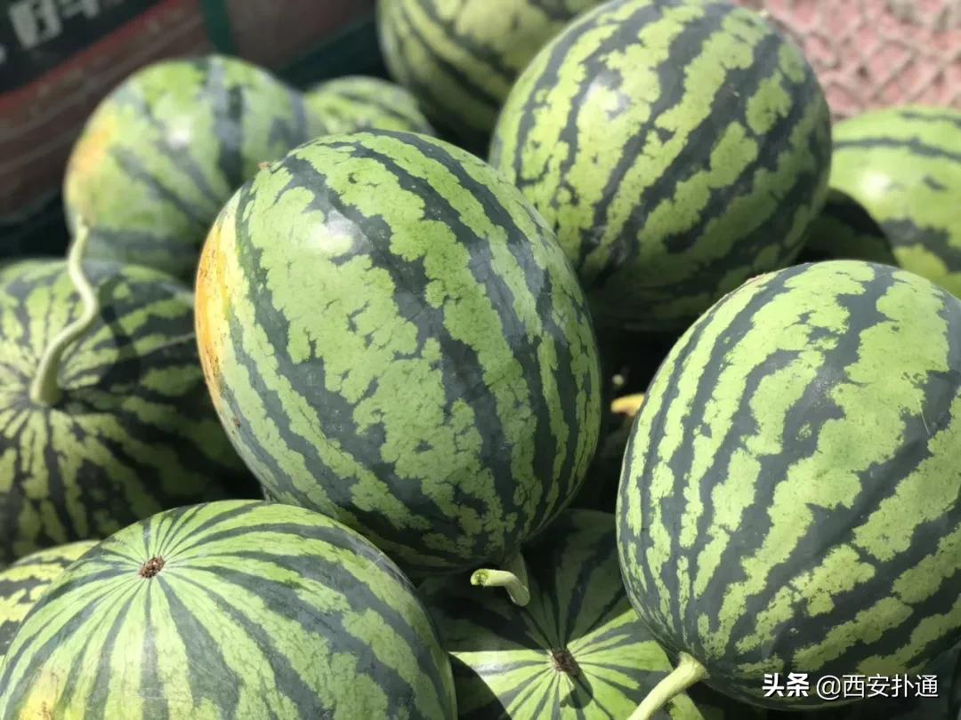蒲城，我去过最好吃的城市