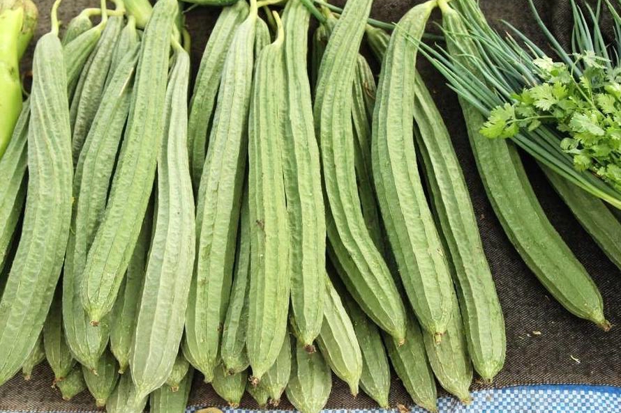国内葫芦科蔬果全介绍