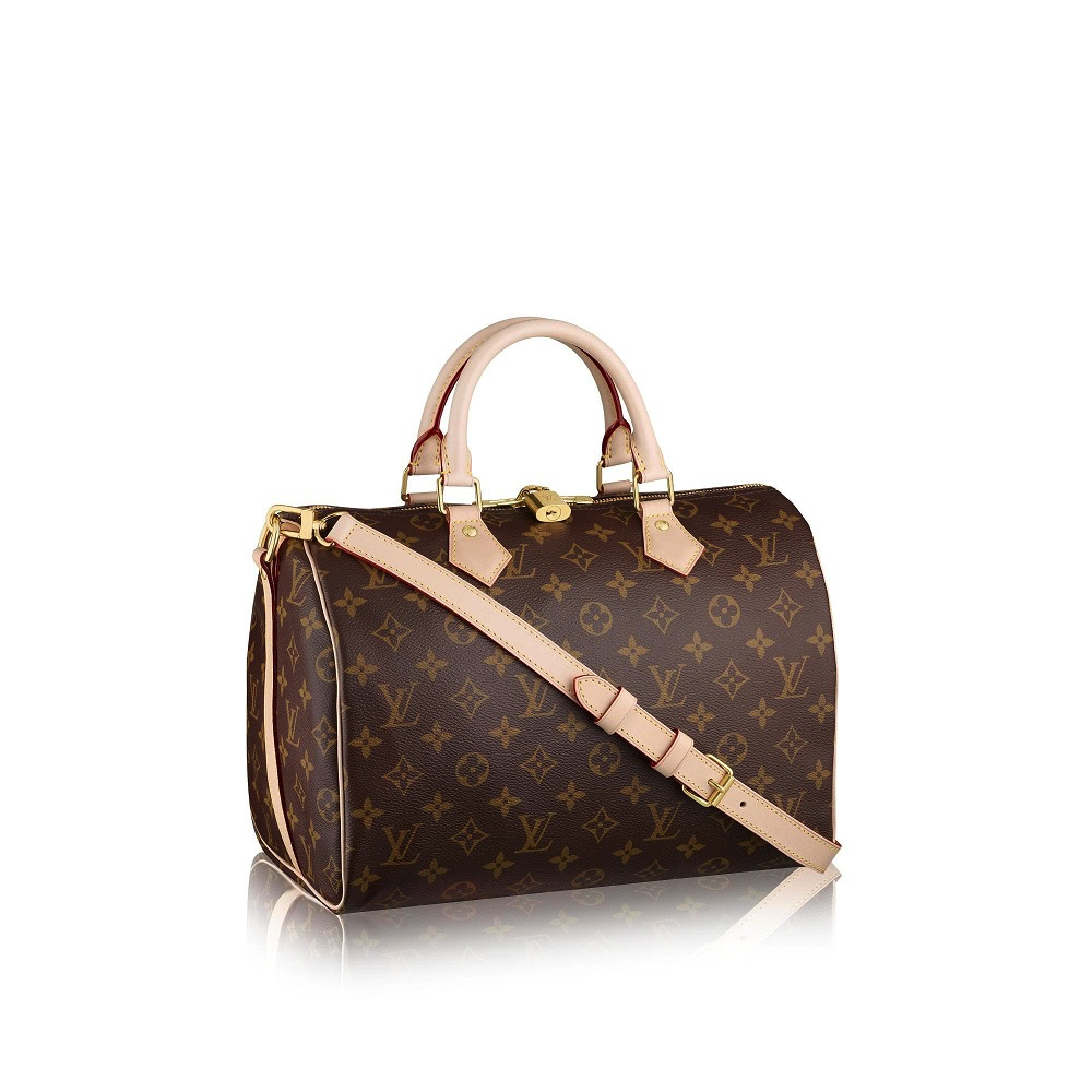 「品牌百科」路易威登（Louis Vuitton）
