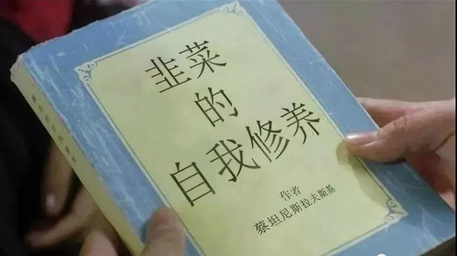 厨余垃圾处理器一用就堵？6个关于垃圾处理器的问题，一次说清