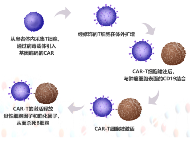 5个步骤，清零癌细胞只用2个月，但条件苛刻还昂贵，你会考虑吗？