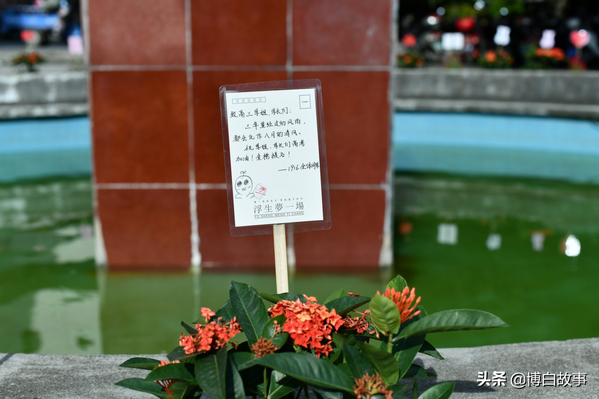 广西博白县中学做了大量工作，确保考生以最佳状态参加高考