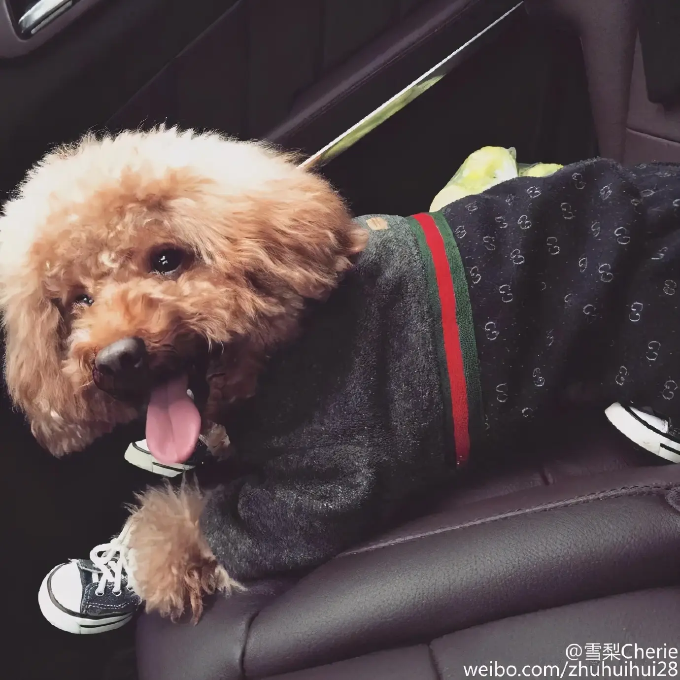 淘宝模特红人模特都有谁（知名的淘宝网红模特排行榜）