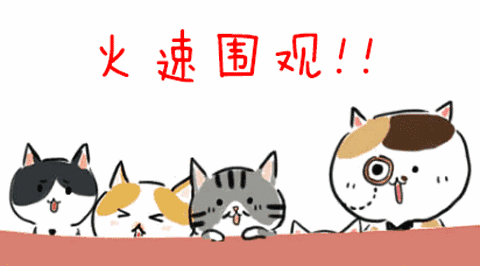收好这份一字马解锁秘笈，你也能当街劈叉飒上天