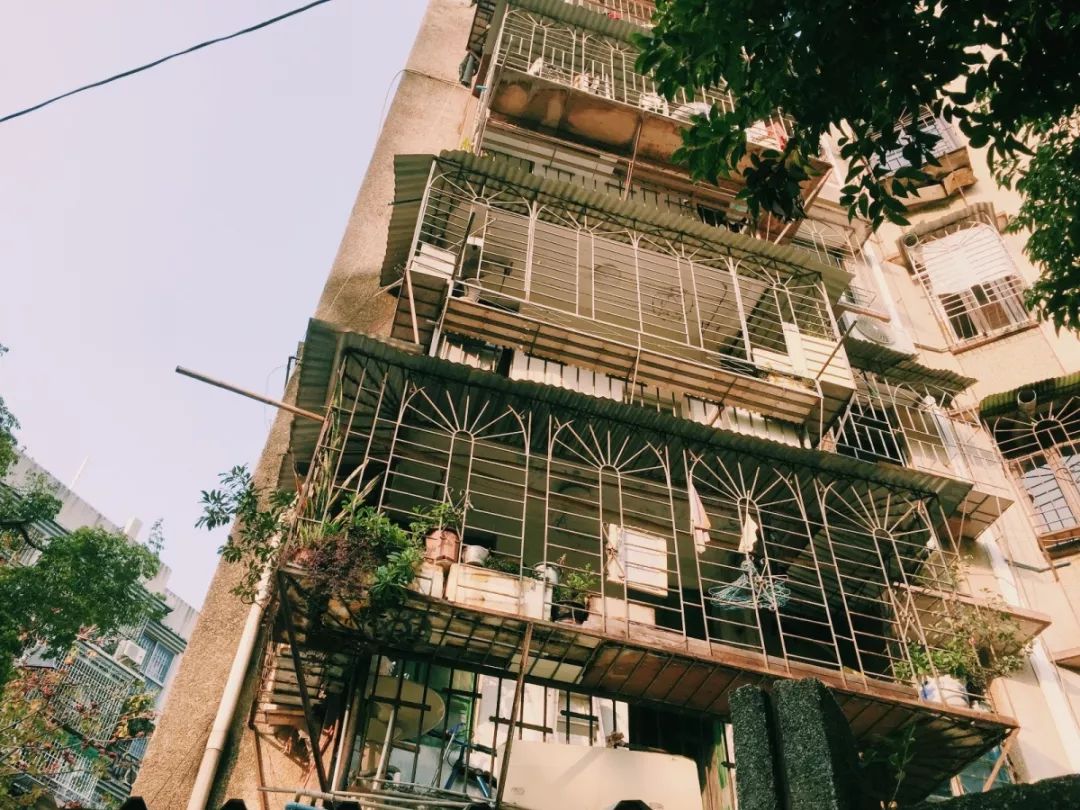 老破小一平10万+！我们走遍厦门18所名校，为你曝光最贵学区房！