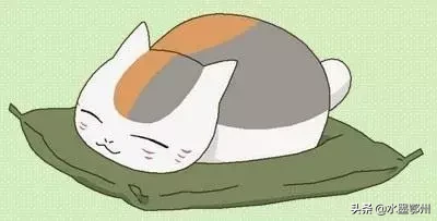 刷完100部“猫片”,发现你们对喵星人的偏见竟如此之大