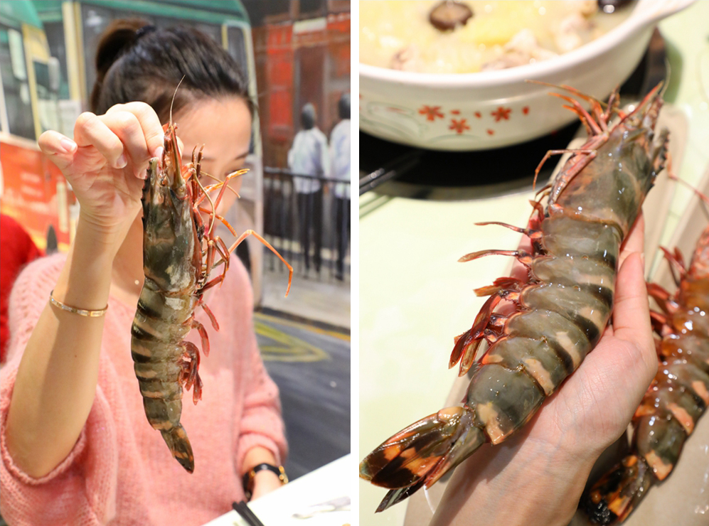 汇集12种食材的佛跳墙，鲍参翅肚样样都有