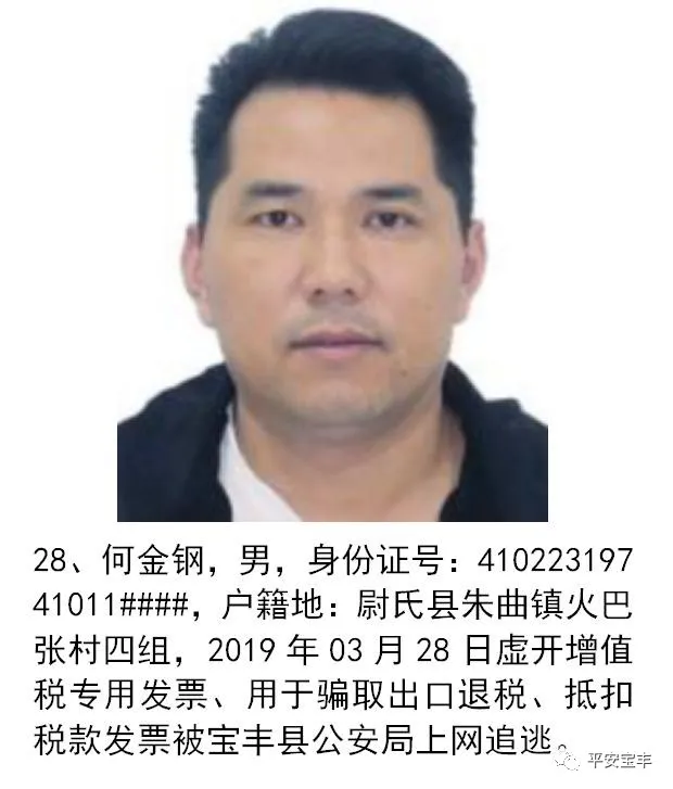 网上逃犯,网上逃犯名单查询系统