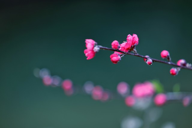 南宋朱熹序注《大学》全文