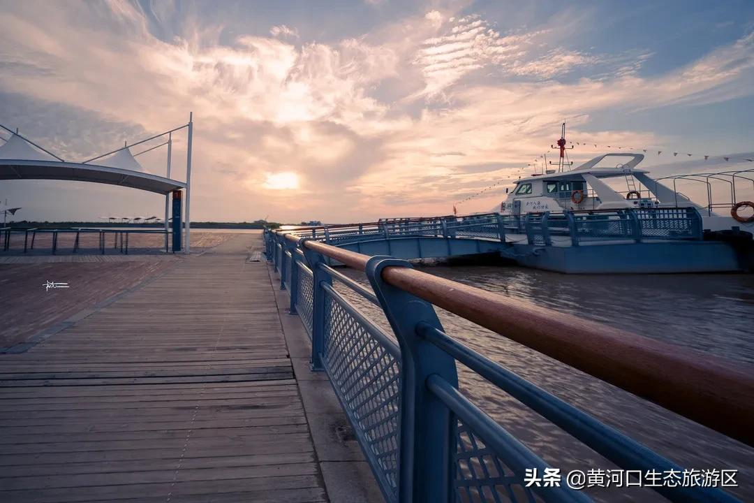 【黄河口生态旅游区】我已最美 欢迎回家