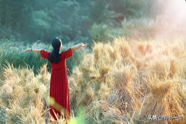 知乎上45条绝顶智慧的回答，果然是“一句顶一万句”