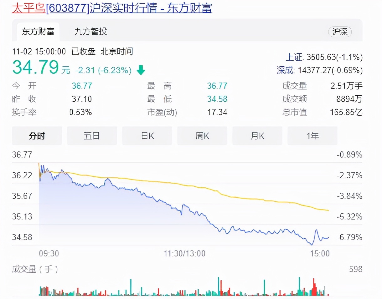 太平鸟不“太平”：昔日国货之光，竟成“抄袭之王”？