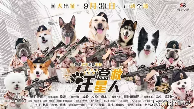 2018年，竟然上映了这么多部狗电影？