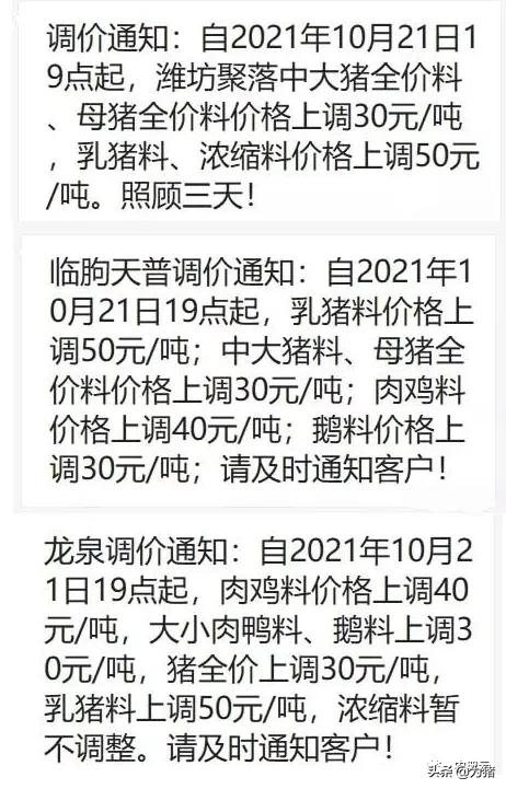 猪价起起落落,饲料又迎“涨价潮”,最高涨100元/吨