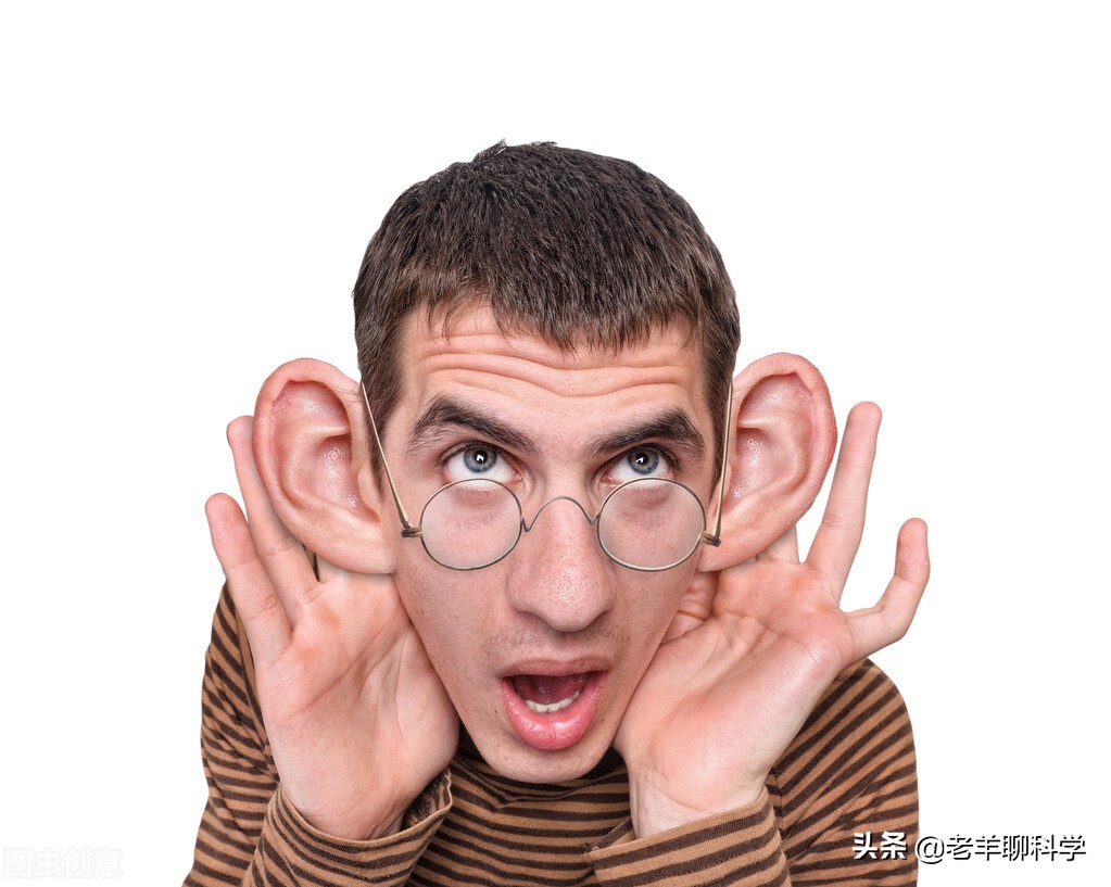 仅凭一个碗就能得一网鱼！广西男子如何做到的？笨鱼因何被声音坑