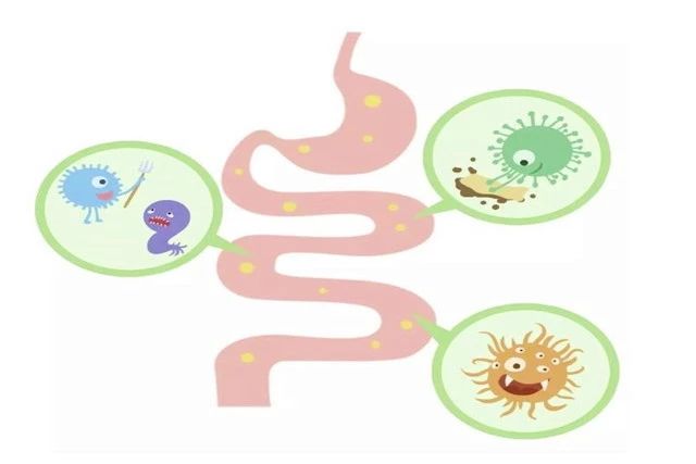 宝宝经常出现便秘、腹泻不要怕，5点是关键，学会这样应对帮大忙