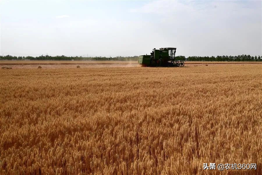 寫給小麥機(jī)用戶：購機(jī)時使用5大策略增加收益保障