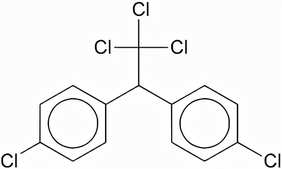 “世界上最邪恶的发明！”曾拯救数千万人，DDT是良药还是毒物？