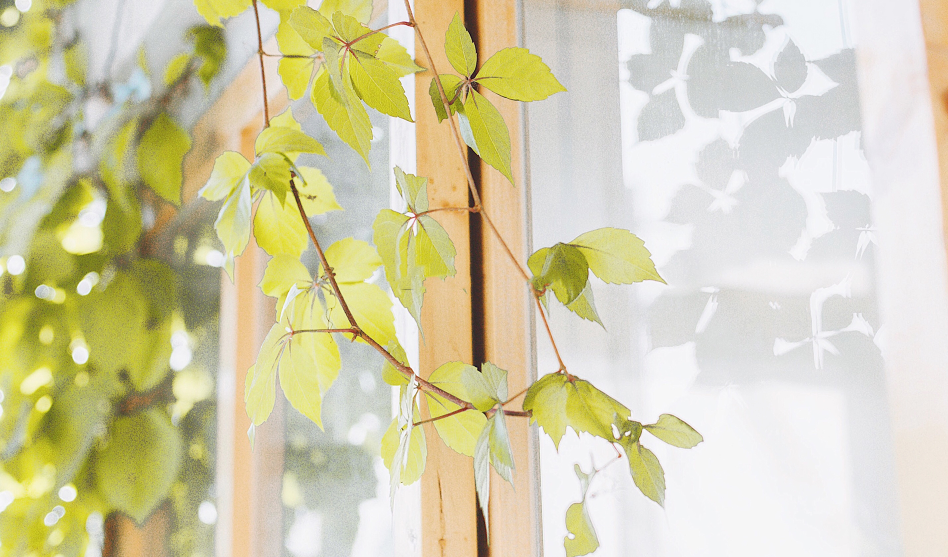 真心的朋友，是永远的避风港